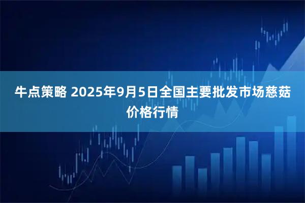牛点策略 2025年9月5日全国主要批发市场慈菇价格行情