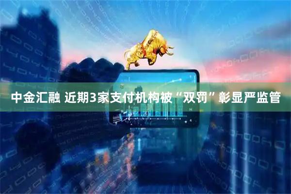 中金汇融 近期3家支付机构被“双罚”彰显严监管